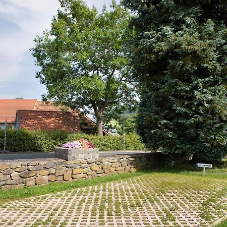Ferienwohnung Wiesenschneiders Freiensteinau 외부 사진